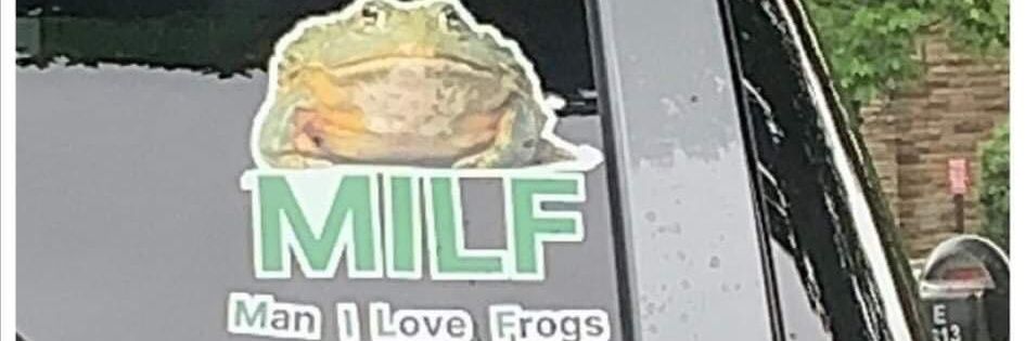 red_fox36's profile banner image