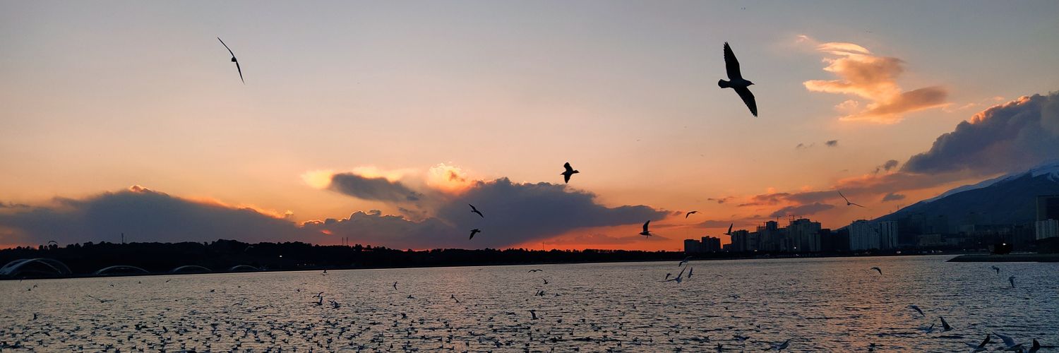 Paniz 🇮🇷 banner