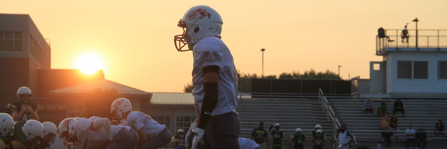 Reeds Spring MS banner
