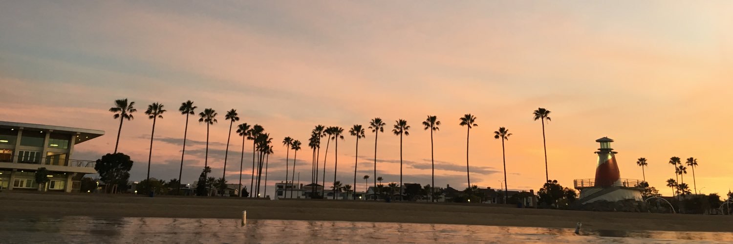 mflaners's profile banner image