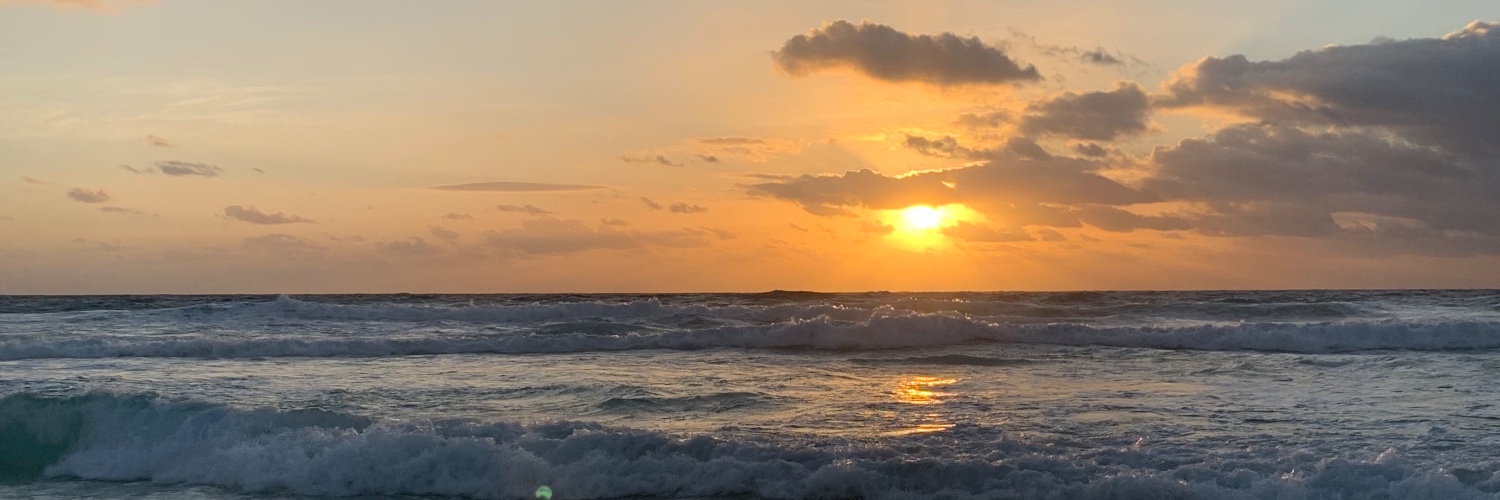 CecilaOttonelli's profile banner image