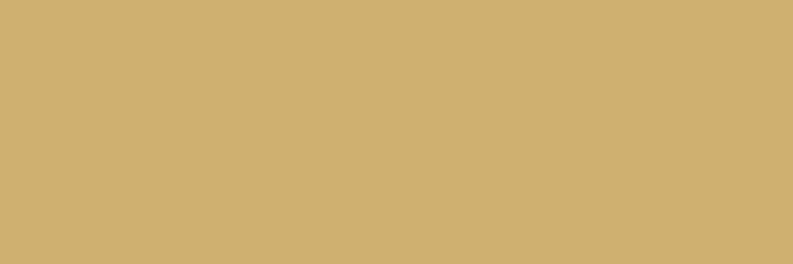 SkyTrout's profile banner image