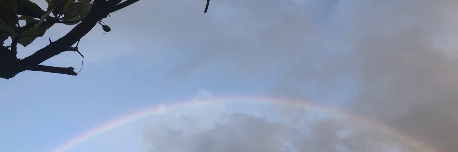 neh_des's profile banner image