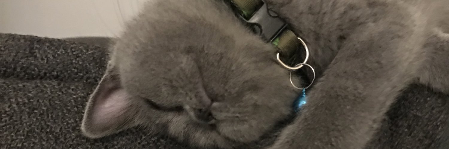 ecceyce's profile banner image