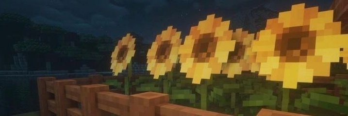 ✩'s banner