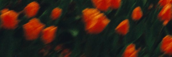 GoodGreifff Profile Banner