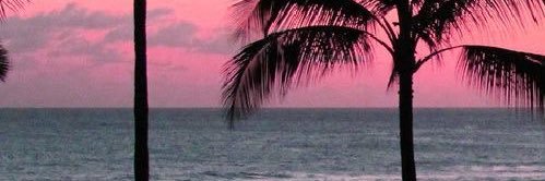 kimulant's profile banner image