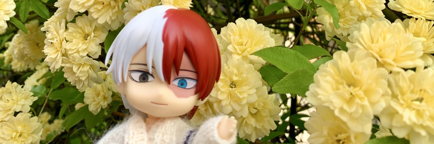 のんたん banner