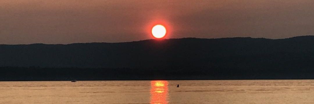 lynnerkat's profile banner image