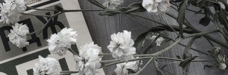 vida banner