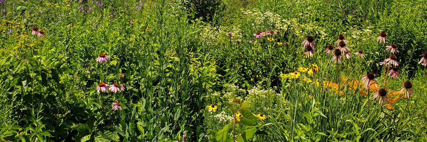 prairie_nerd's profile banner image