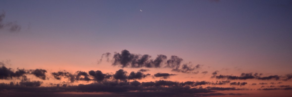 MELT_MEDIA's profile banner image