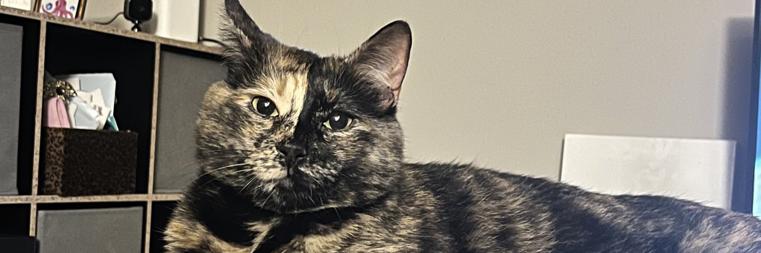 goddamnittaylor's profile banner image