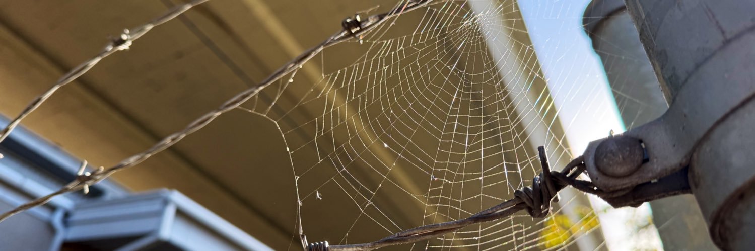 rianashlin.bsky.social banner