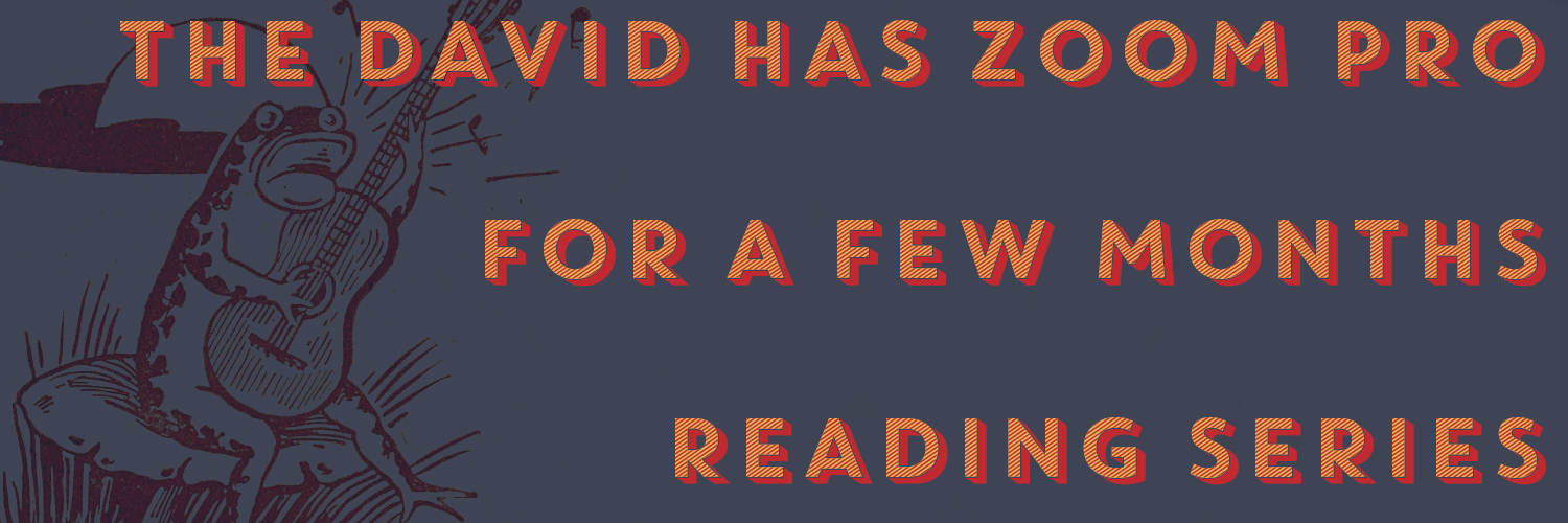 The David Has Zoom Pro Reading Series banner
