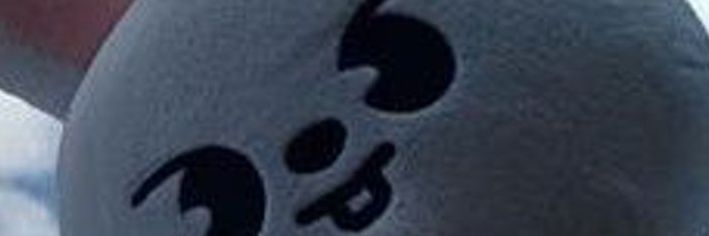 greybnb banner