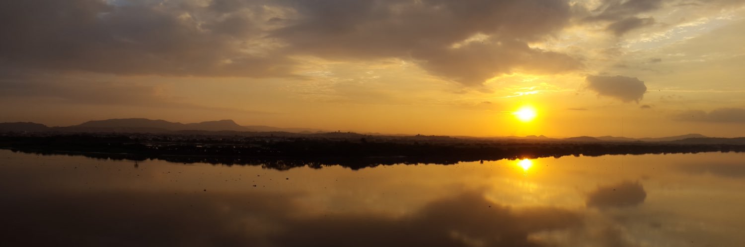 Xavier Pimentel banner