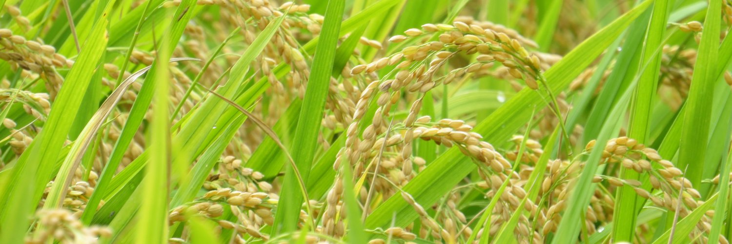 Brad Mayfield banner