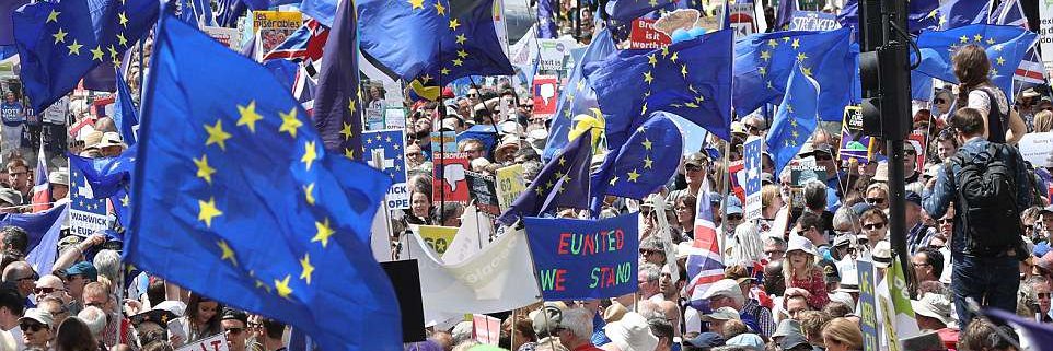 Leave Means Leave banner