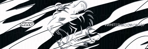 WSTalents Profile Banner