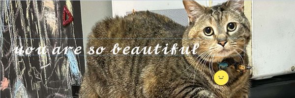 0rbrot_2 Profile Banner