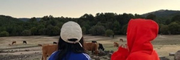 chaerholic Profile Banner