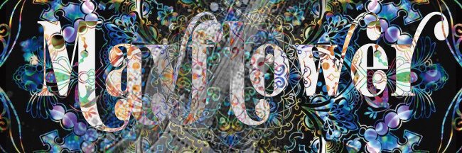 toshinori mitsunaga banner