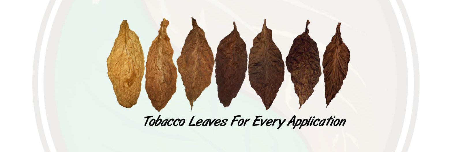 leafonly's profile banner image