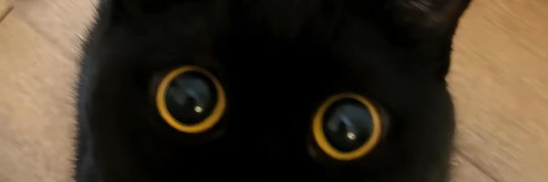 _Mazraa Profile Banner