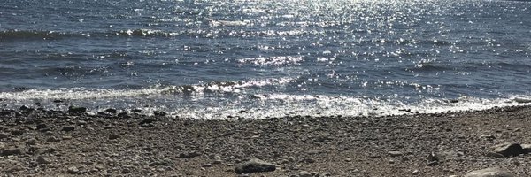 subi_sa Profile Banner