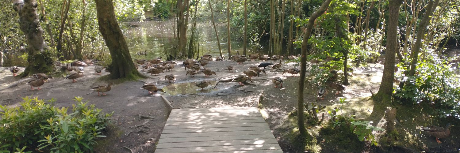 Linsey Wilson 🏴󠁧󠁢󠁳󠁣󠁴󠁿🦄 banner