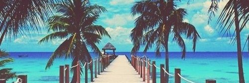 Lupimmarques's profile banner image