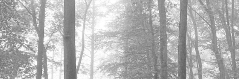 myluvchan's profile banner image