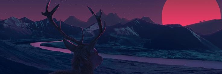 Mark Leo banner