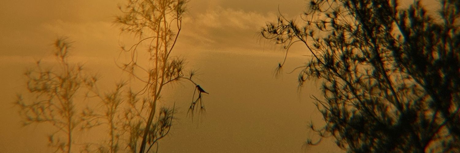 BLVCKMAFIA17's profile banner image