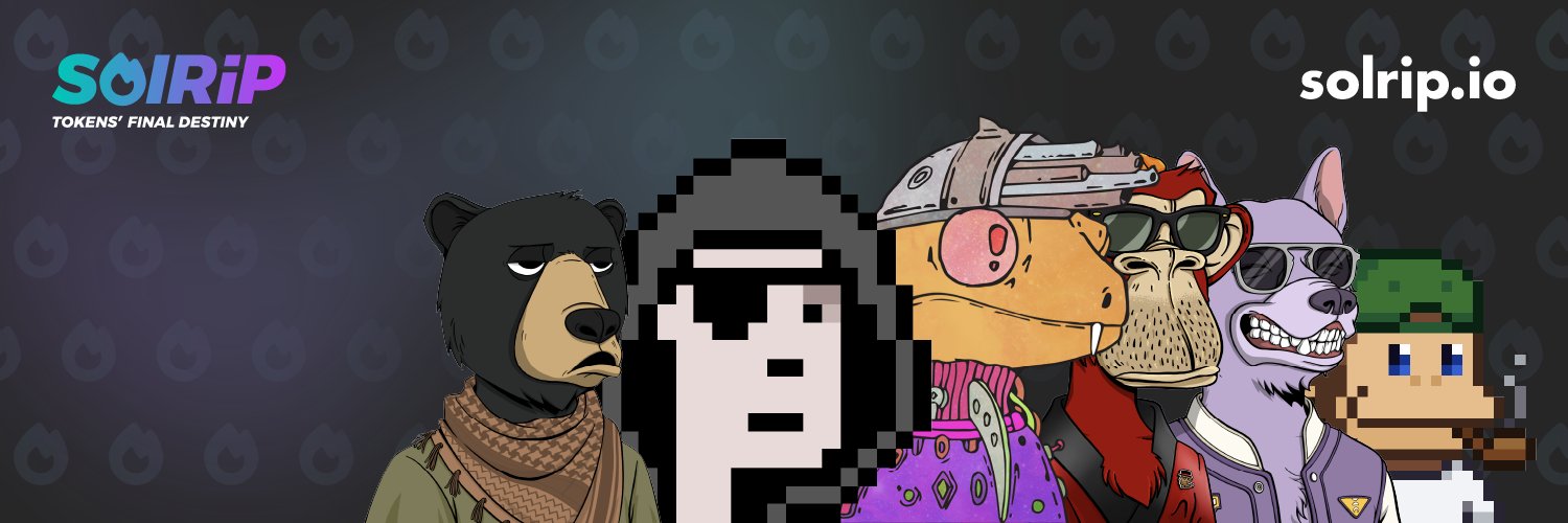 PV21💀 Building SolRIP.io banner