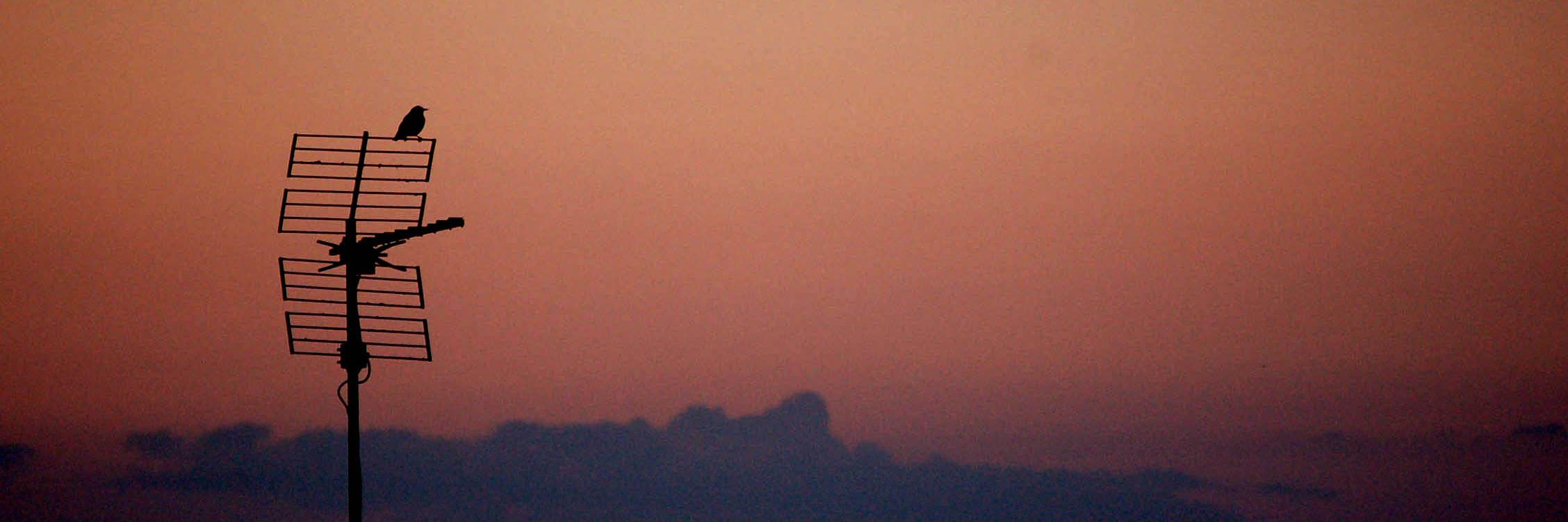 Berta Nogueira Sixto banner