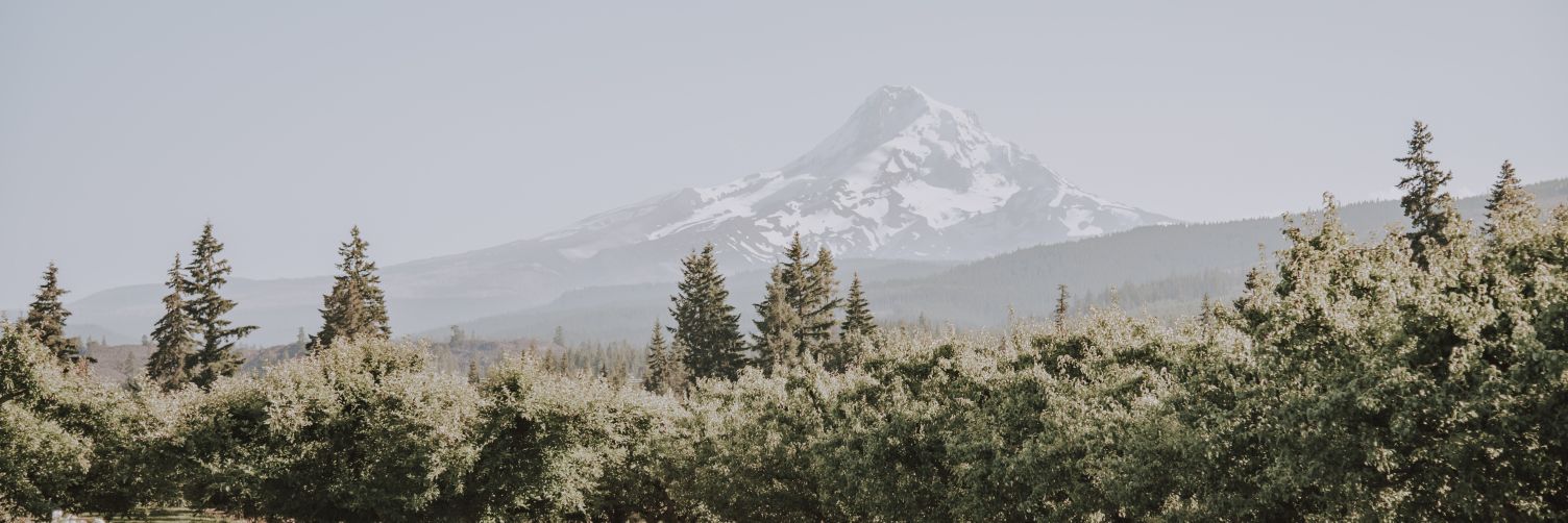 ehidle's profile banner image
