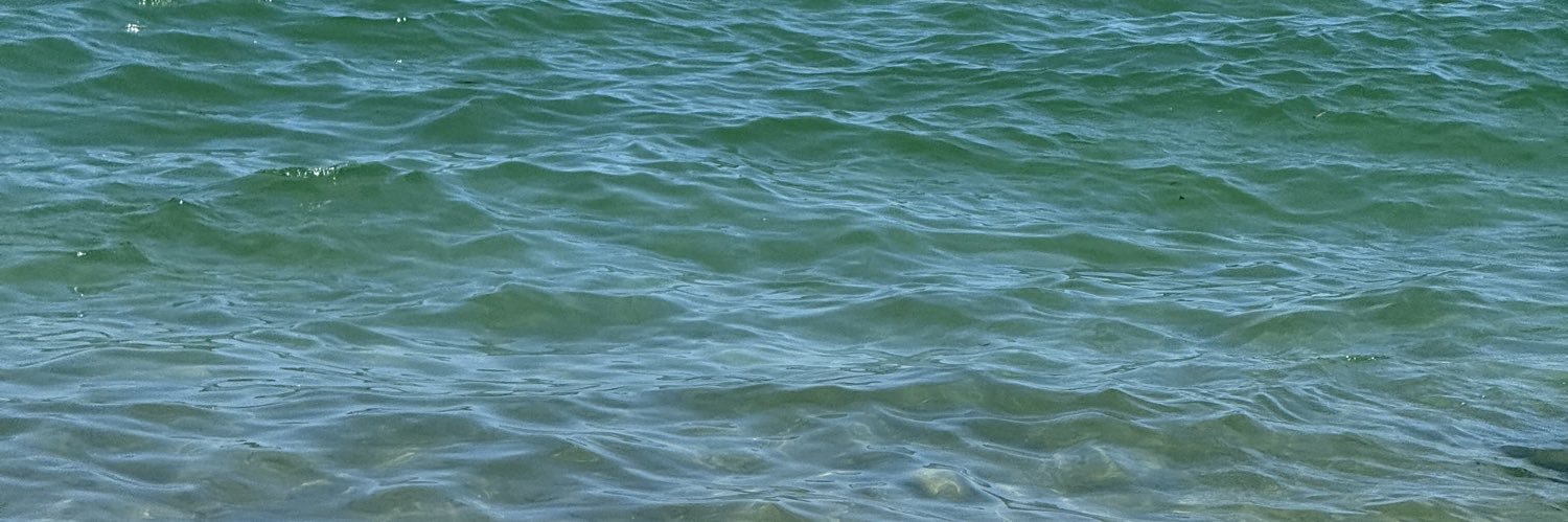 polacox1's profile banner image