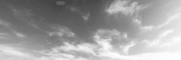 adam banner