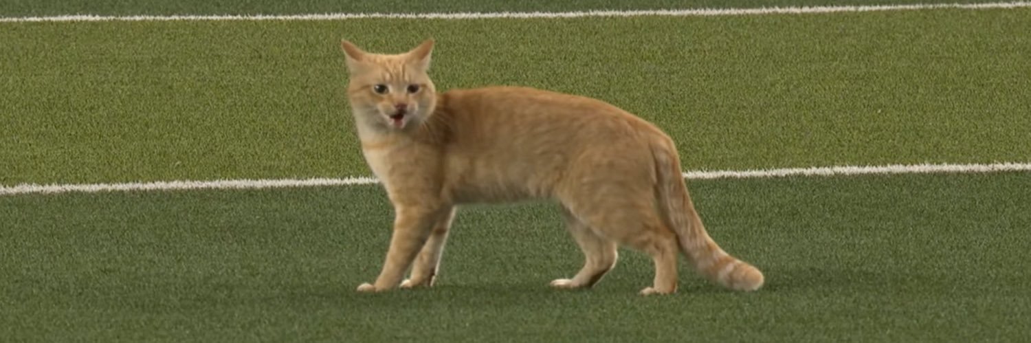 Baylor No Context's banner