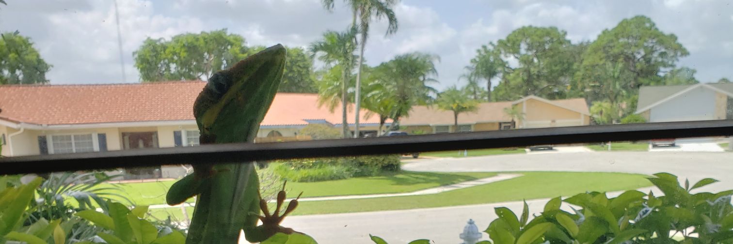 leeh's profile banner image