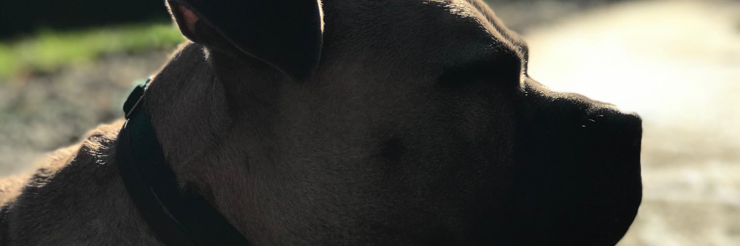 DevinConnelley's profile banner image