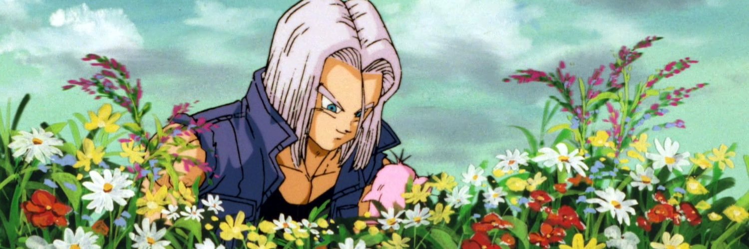Tiño banner
