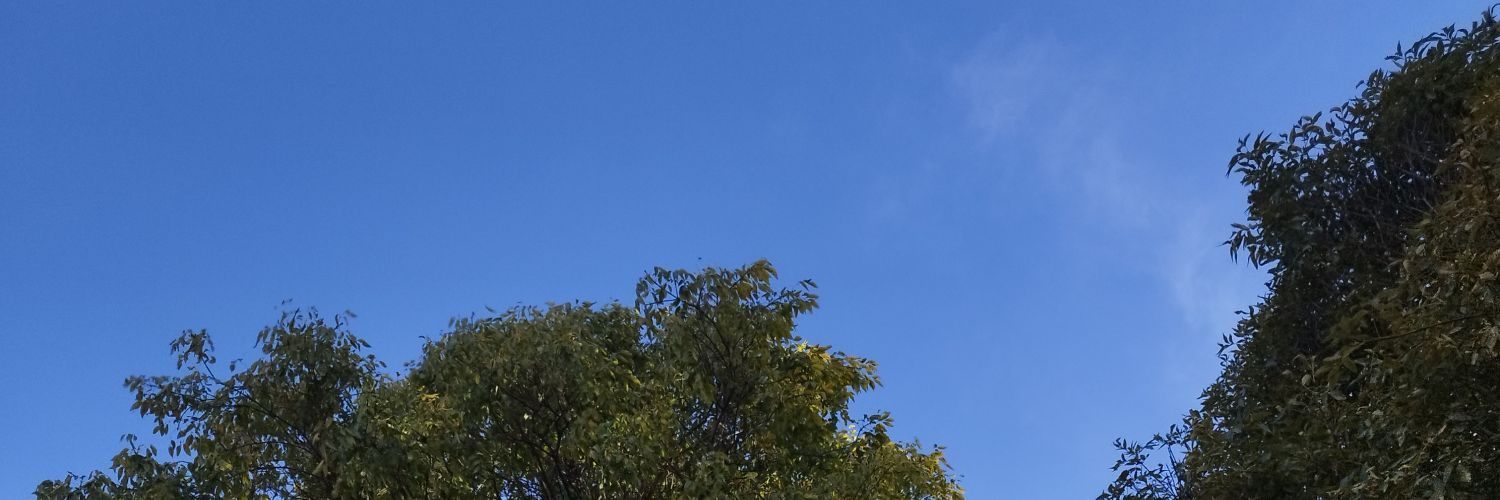 kta_402's profile banner image