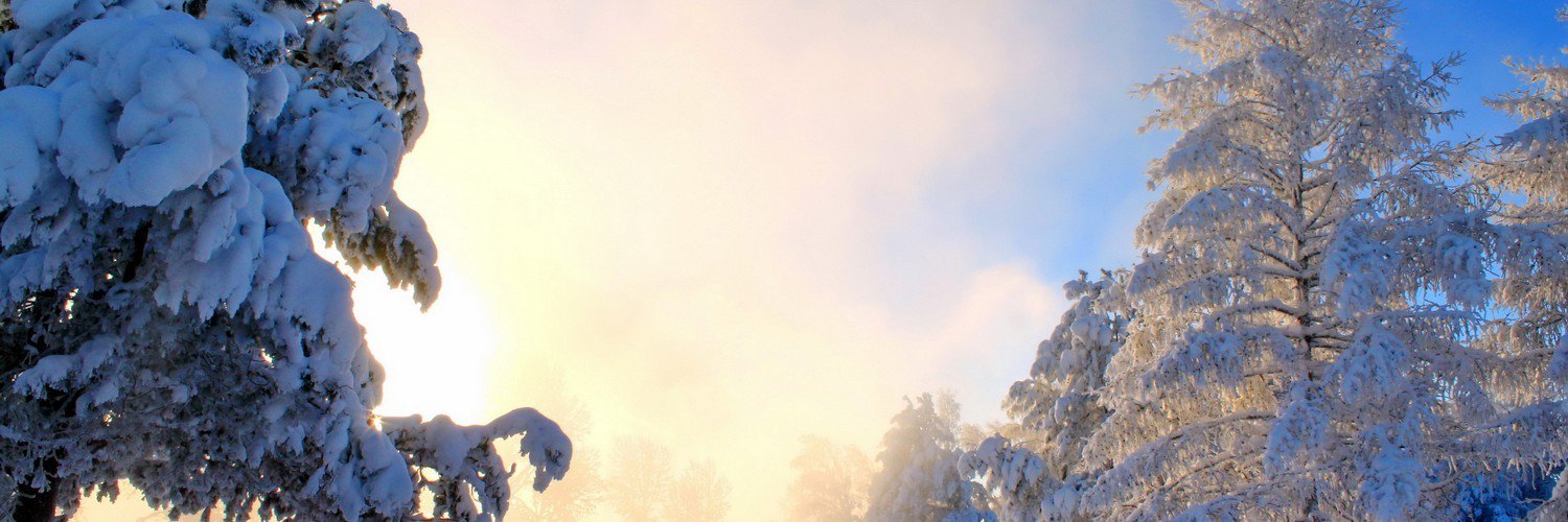 ssarjooo's profile banner image