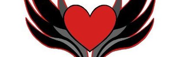 ValkyriesCsgo Profile Banner