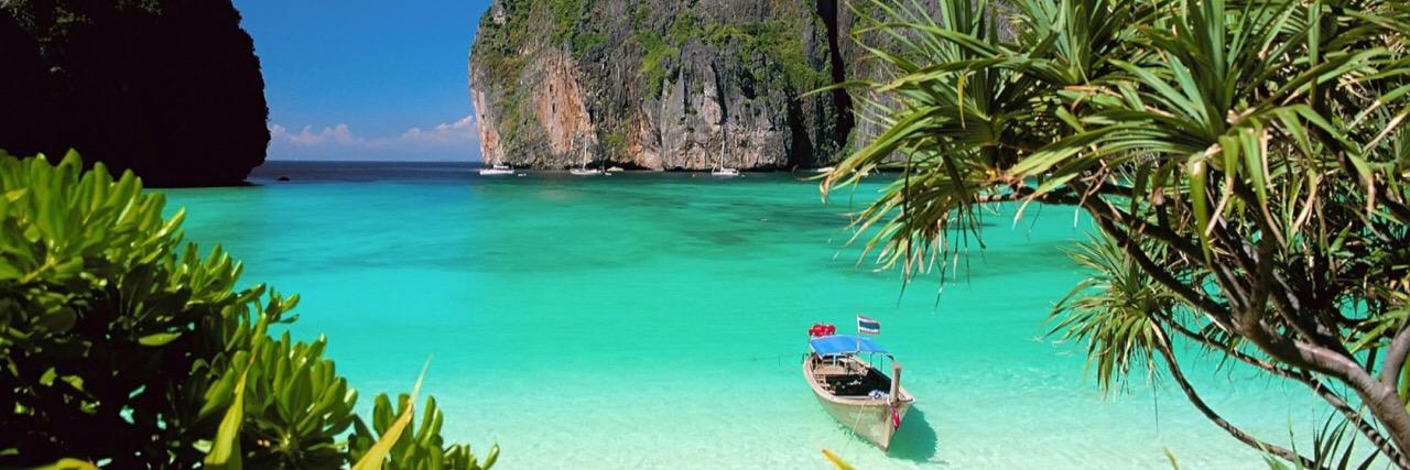 ❤️Invincibles49🤍 banner