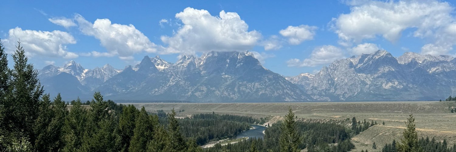 elwebb3's profile banner image