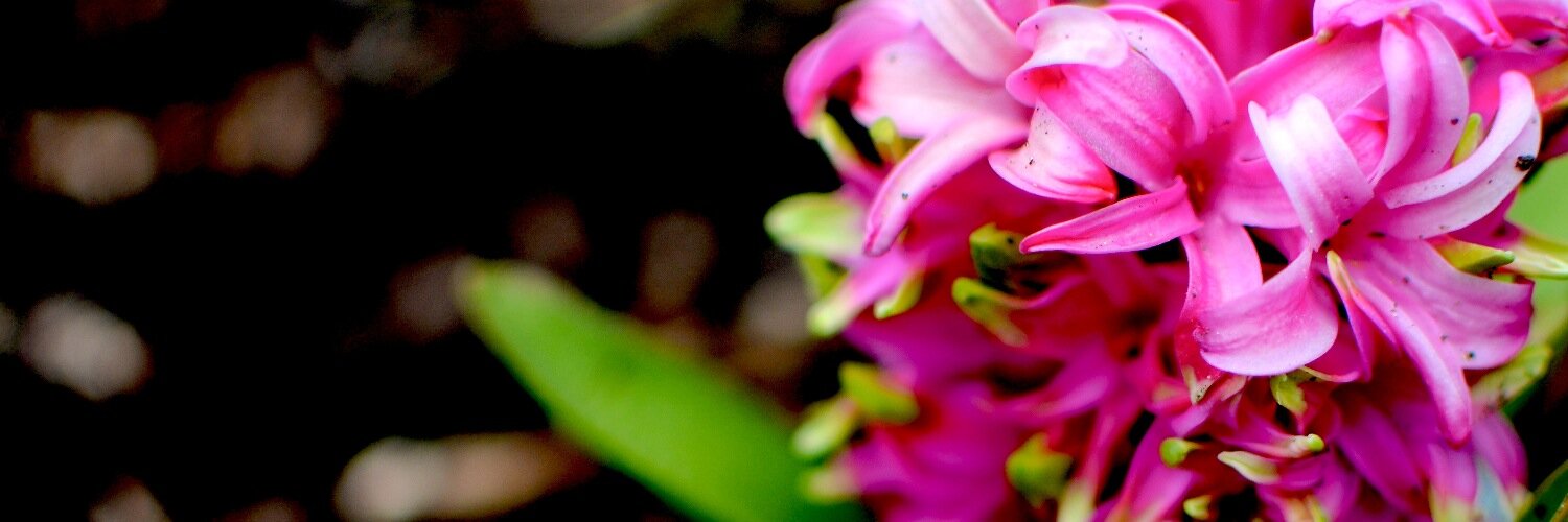 _ANKIT_'s profile banner image